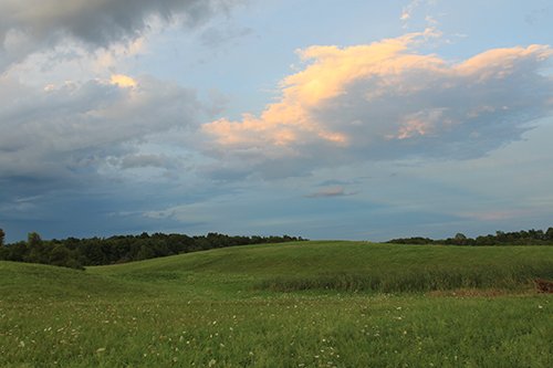 Property photo 107 - REAL ESTATE AUCTION, 163+/- Acres offered in 8 Tracts